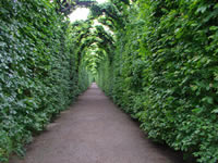 Palatul Schombrunn Viena - Austria